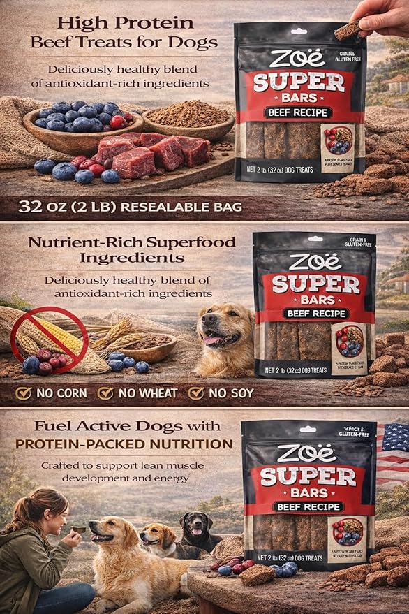 Zoe Super Bars Beef Recipe Dog Treats - Protein Packed Snacks with Berries and Flax Grain Gluten Free 32 oz Bag Big of Made The Finest Ingredients, 2 Pound (Pack 1)