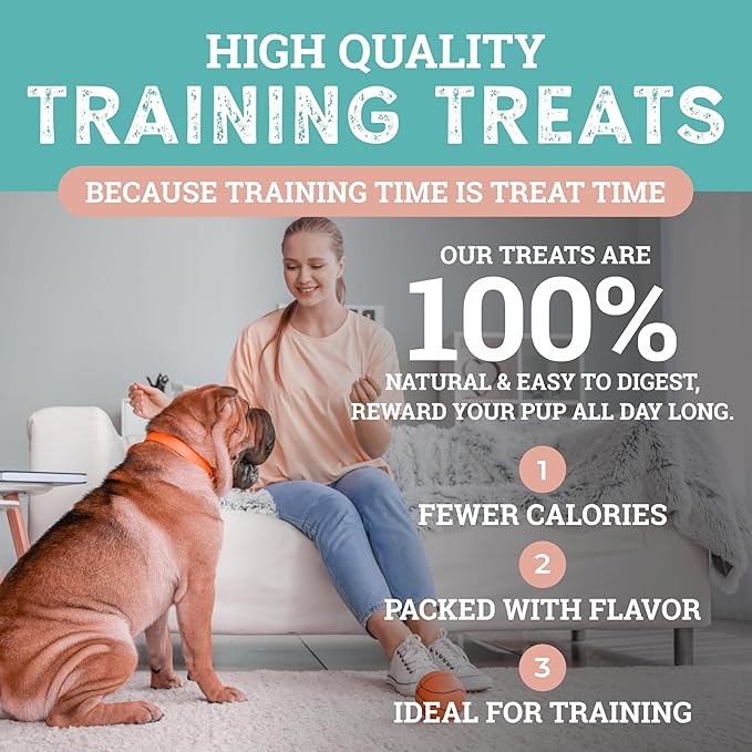 etta says! Sit Training Treats - All Natural Smoked Salmon Soft Treats for Dogs - Made in The USA - Soft & Chewy for Small, Medium & Large Dogs or Puppies - 2 Pack