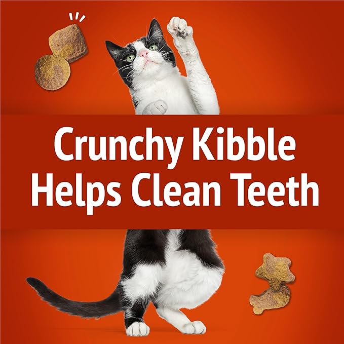 Friskies Purina Cat Treats, Party Mix Gravy-Licious Crunch Chicken and Gravy Flavors - 20 oz. Pouch (Pack of 2)