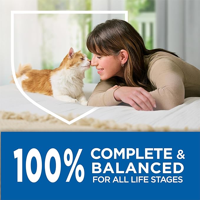 Purina Cat Chow Complete High Protein Dry Cat Food With Real Salmon - (Pack of 4) 3.15 lb. Bags