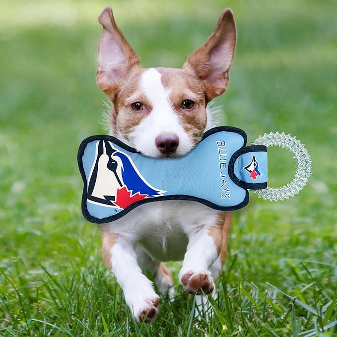 MLB Toronto Blue Jays Bone Shaped Dental Dog TUG Toy with Squeaker. Tough PET Toy for Healthy Fun, Teething, and Cleaning pet's Teeth and Gum.