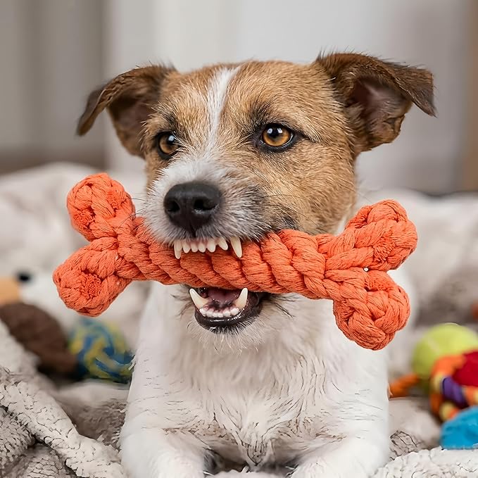 Orange Cotton Rope Bone Dog/Cat Chew Toy Durable Braided Dental Chewing Toy for Dogs Teething Interactive Play (1-Piece Set)
