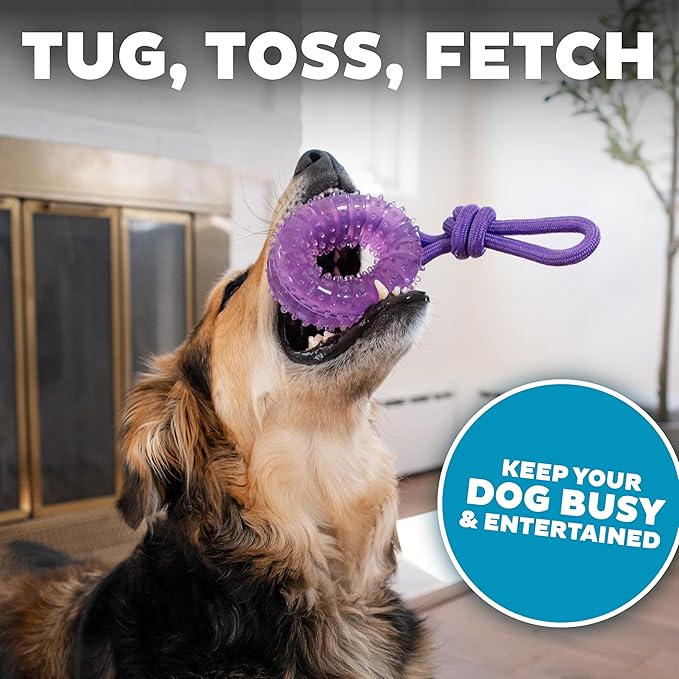 Dental Chew Wheel Dog Toy – Ring & Rope Tug, Multi-Textured, Soft on Teeth, Moderate Chewers, Mint Scented, 9"