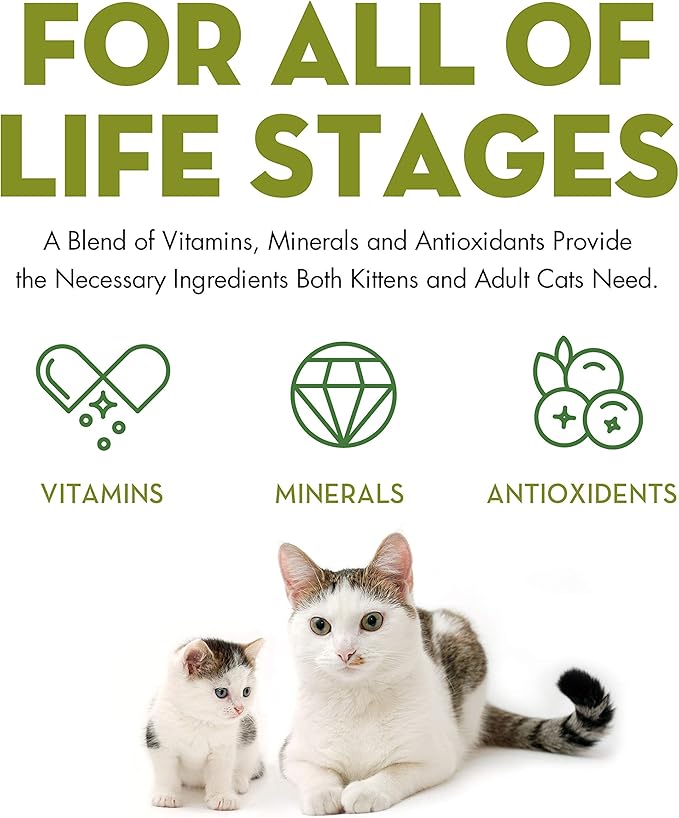 AvoDerm Natural Chicken Chunks Entrée in Gravy - Grain Free Wet Canned Cat Food