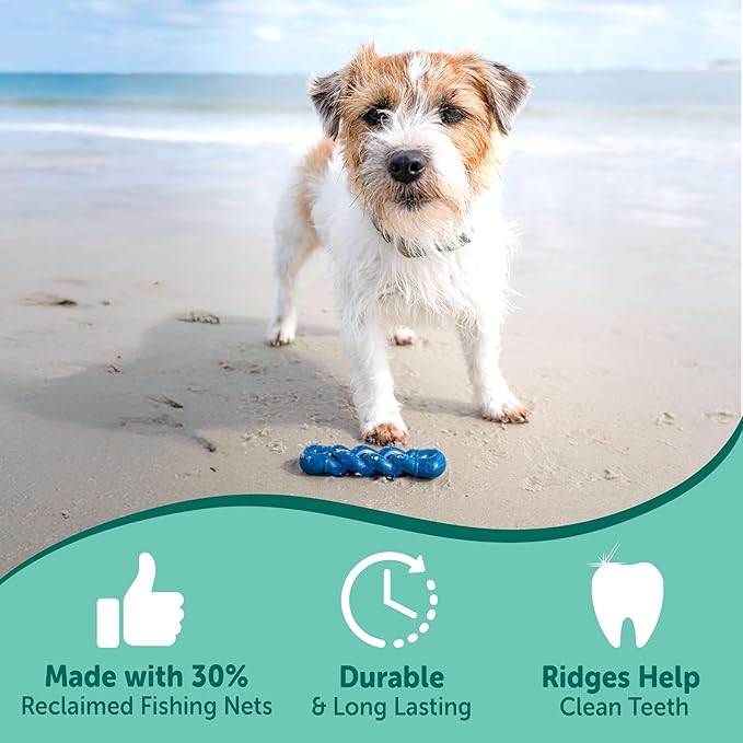 Nylabone Love Our Oceans Infinity Braid Bone Power Chew Toy for Dogs, Recycled & Sustainable Dog Chew Bones, Made in USA, Bully Stick Flavor, Small Dog Toys - Up to 25lbs, 1 Count