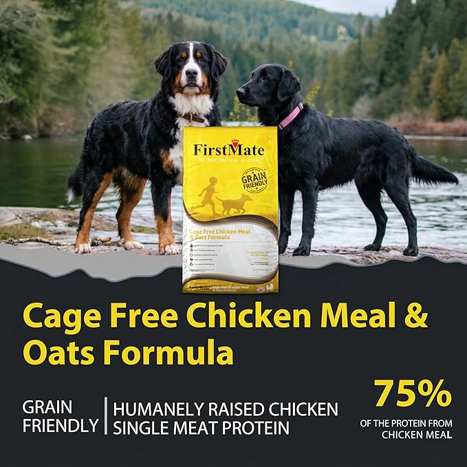 FirstMate Grain Friendly Dog Food Cage-Free Chicken Meal & Oats Formula – Humanely Raised Single Protein, Pea Free & Potato Free Dry Dog Food with Wholesome Grains – 25 lb Bag