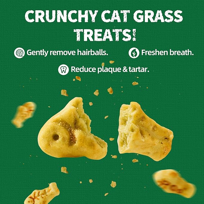 Just Try 13.4 OZ Cat Grass Treats Salmon Oil Natural Salmon Kitten Healthy Cat Treats Training Biscuits Snacks Fish Oil Omega 3 Supplements for Cats Joint Support & Skin Coat Health