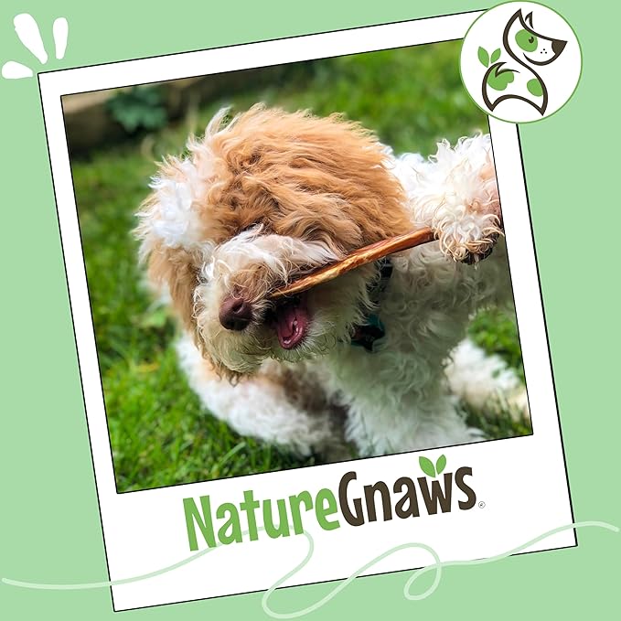 Nature Gnaws Extra Thin Bully Sticks for Small Dogs 5-6" (25 Count) - Long Lasting for Light Chewers and Puppies - Natural Beef Dog Chew Bones
