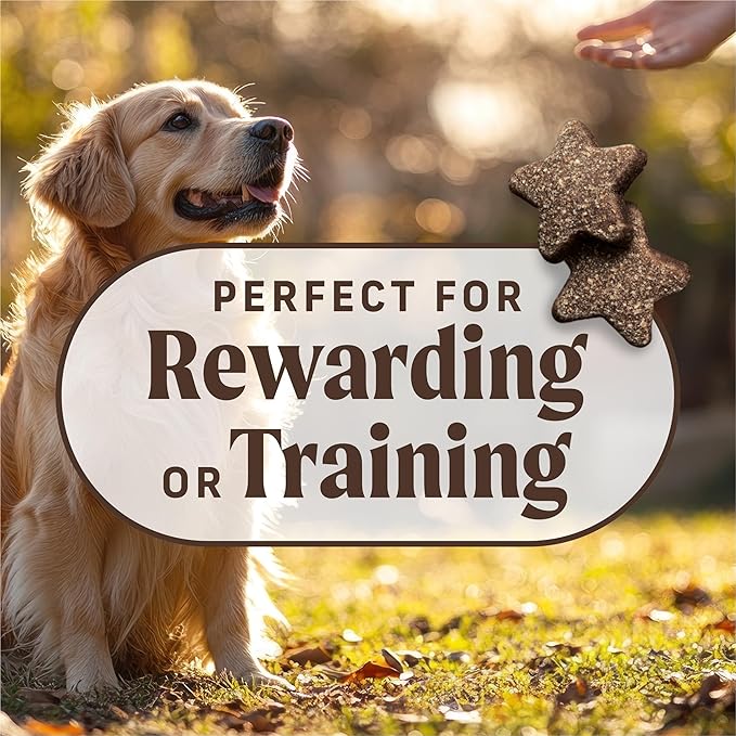 Merrick Power Bites Salmon Recipe Healthy Dog Treats, Real Salmon Grain-Free Dog Snacks, 6 oz Bag