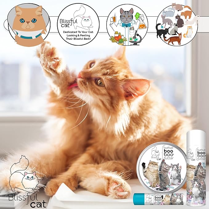 The Blissful Cat Boo Butter