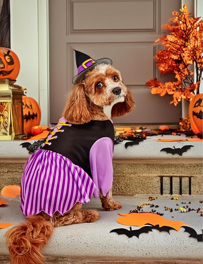 Rubies Witch Pet Costume for Dogs or Cats, Large