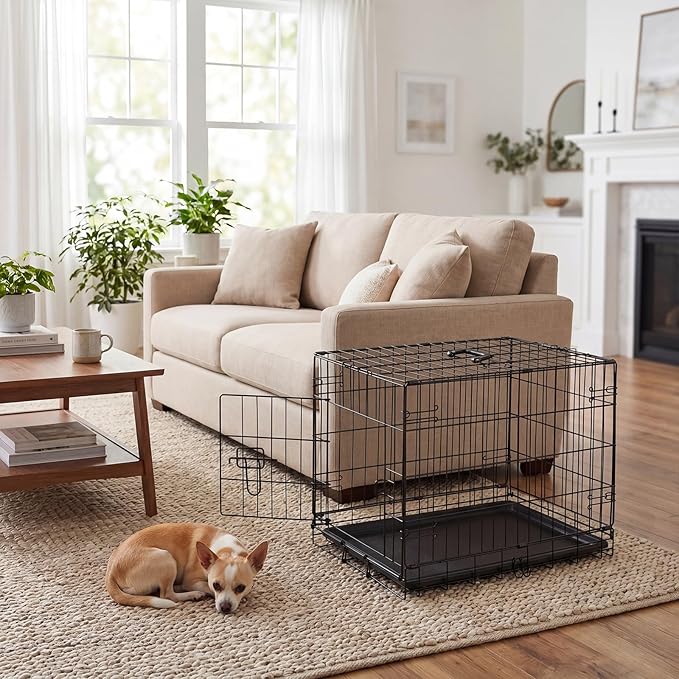 Dog Crate - 24 Inch Small Single Door Portable Puppy Dog Cage, Metal Wire Pet Kennel with Secure Lock, Leak-Proof Pan Tray, Foldable Design for Small Dog Indoor Training and Outdoor Trave