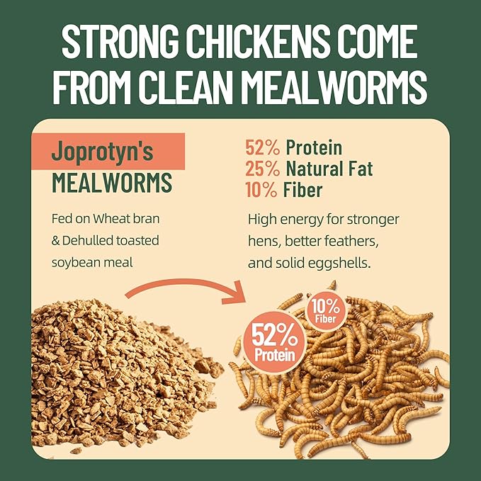 5LB Premium Non-GMO Dried Mealworms for Chickens, Ducks, Wild Birds, Quails & Reptiles High-Protein Natural Treats & Feed