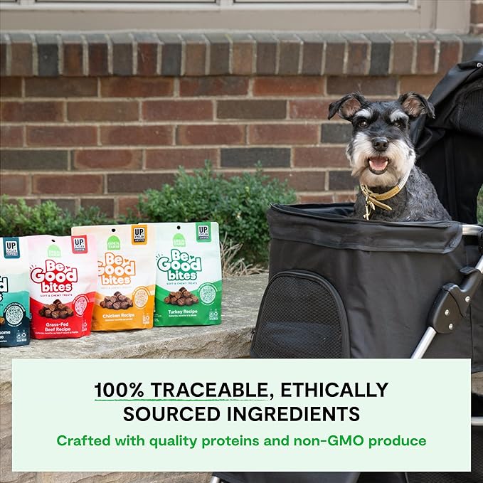Open Farm, Be Good Bites, Soft Dog Training Treats, Small & Chewy, Made with Ethically & Sustainably Sourced Ingredients, Non-GMO Fruits & Grains, Chicken Recipe, 6oz Pouch