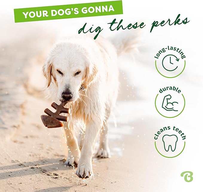 Benebone Fishbone Durable Dog Chew Toy for Aggressive Chewers, Real Fish, Made in USA, Giant