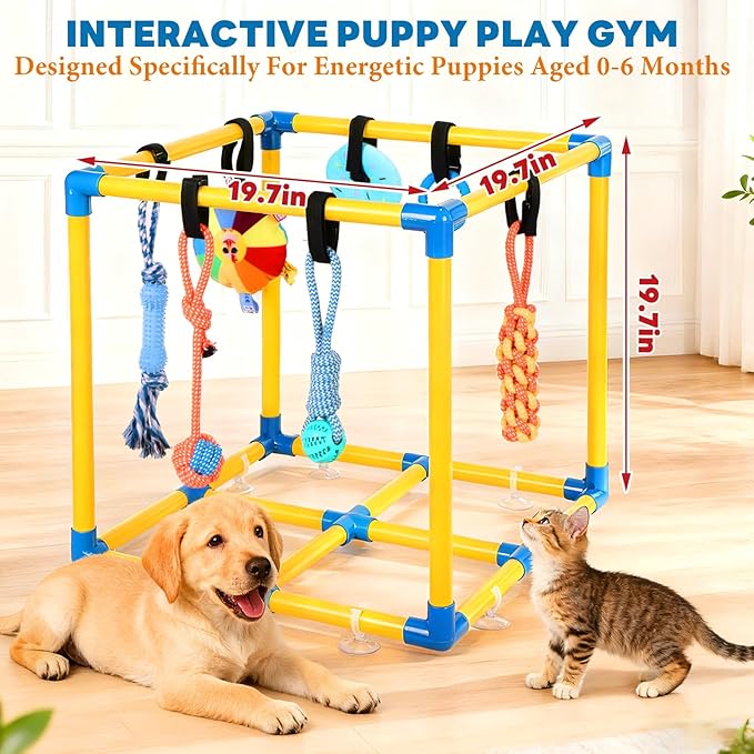 WLLEYAY Puppy Play Gym for Small Dogs with 10 Hanging Toys, Removable Indoor Jungle Gym, PVC Frame with Adjustable Bungee Straps, Interactive Dog Toys Tug Toys for Dogs Rope Toy to Keep Them Busy