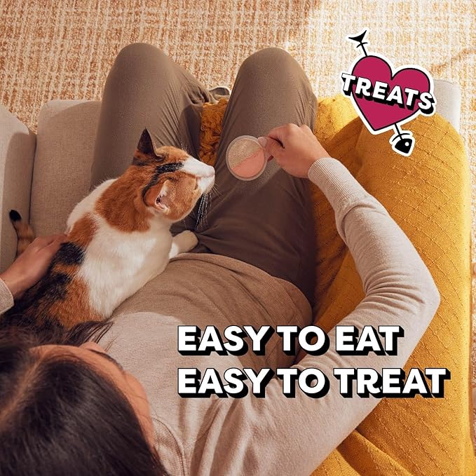 Temptations Lickable Spoons Adult Wet Cat Treat, Tasty Chicken and Savory Salmon Flavor, 10 Grams, Pack of 24 (96 Total Spoons)