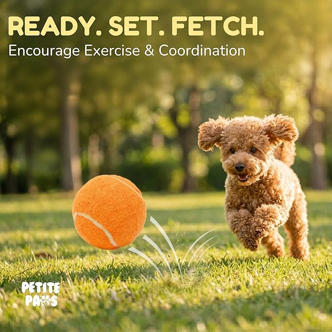 Colorful Squeaky Tennis Balls for Small Dogs and Puppies - 1.5 Inch - 12 Pack - Dog Training Toys for Positive Reinforcement, Interactive Squeaker Ball To Engage Attention Outside, Ball Launcher Fetch