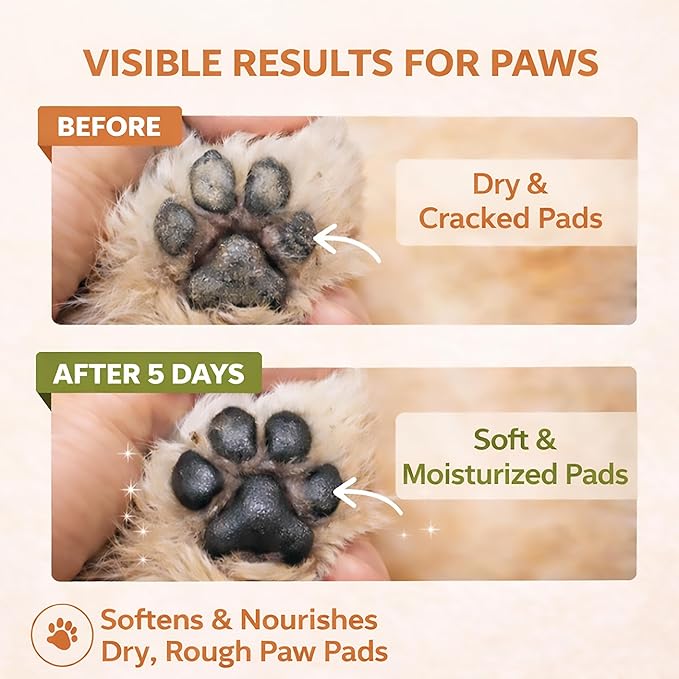 Dog Paw & Nose Balm Stick for Dogs & Cats, 2 Pack 1.41oz/40g, Mess-Free Lick-Safe Paw Wax for Hot Pavement & Winter Salt/Snow, Moisturizes Dry, Cracked Paws & Noses, Beeswax Olive Oil VIT E