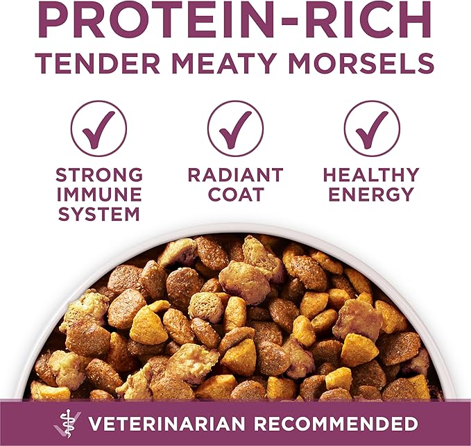 Purina ONE Plus Healthy Puppy Formula High Protein Natural Dry Puppy Food with added vitamins, minerals and nutrients - 8 lb. Bag