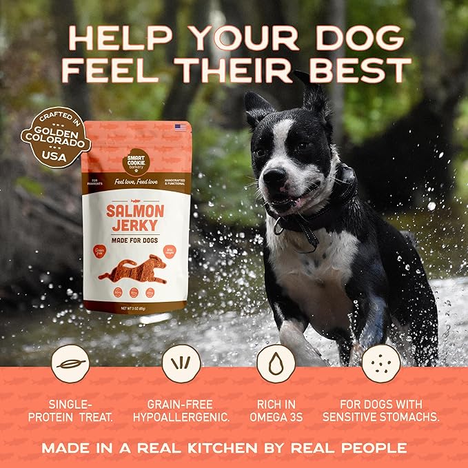 Smart Cookie Salmon Jerky Dog Treats - DHA, Omega Strips for Dogs & Puppies with Allergies, Sensitive Stomachs with Wild Caught Alaskan Salmon- Dehydrated, Grain Free, Made in USA - 3oz Bag, Pack of 3