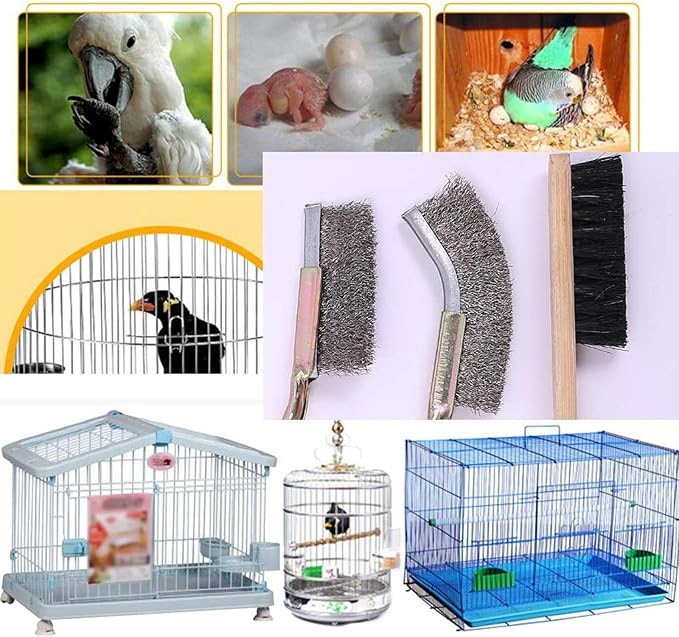 Birdcages Brush Set of 3 Effective StainlessSteel Brushes Kits for Squirrels Bird Cage Accessories Bird Cage Supplies