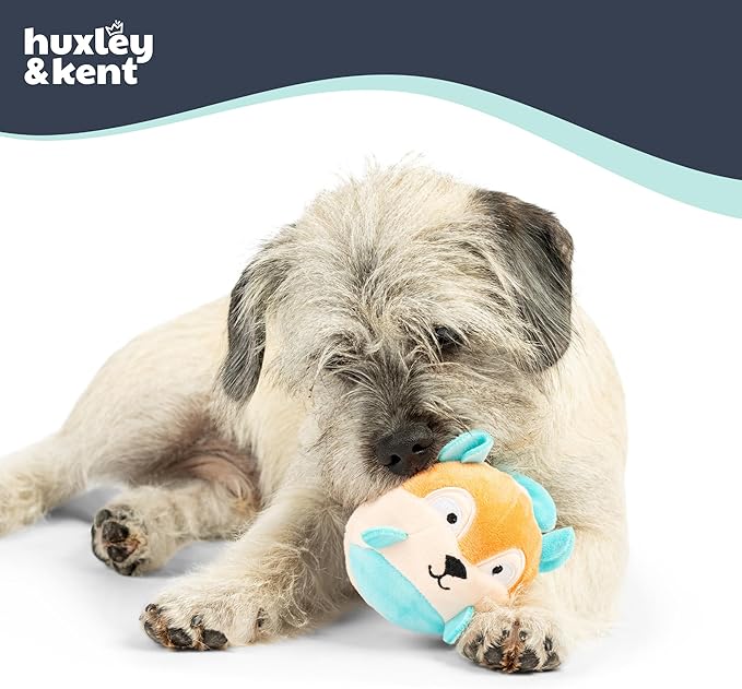 Huxley & Kent Funny Dog Toy w/Squeaker – Power Plush Squeaky Dog Toys for Small Dogs – Durable Small Stuffed Animal for Indoor Play & Fetch - Tiny Tuff Nutty Buddy