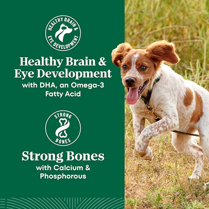 Nutro Natural Choice Large Breed Puppy Food, Dry Dog Food, Chicken & Brown Rice Recipe, 13 lb. Bag