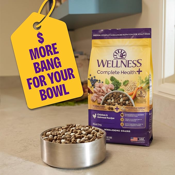 Wellness Complete Health+ Adult Dry Dog Food with Freeze Dried Wellbites, Wholesome Grain Kibble+, Natural, Chicken Free, Whitefish and Sweet Potato Recipe, 4 lb Bag