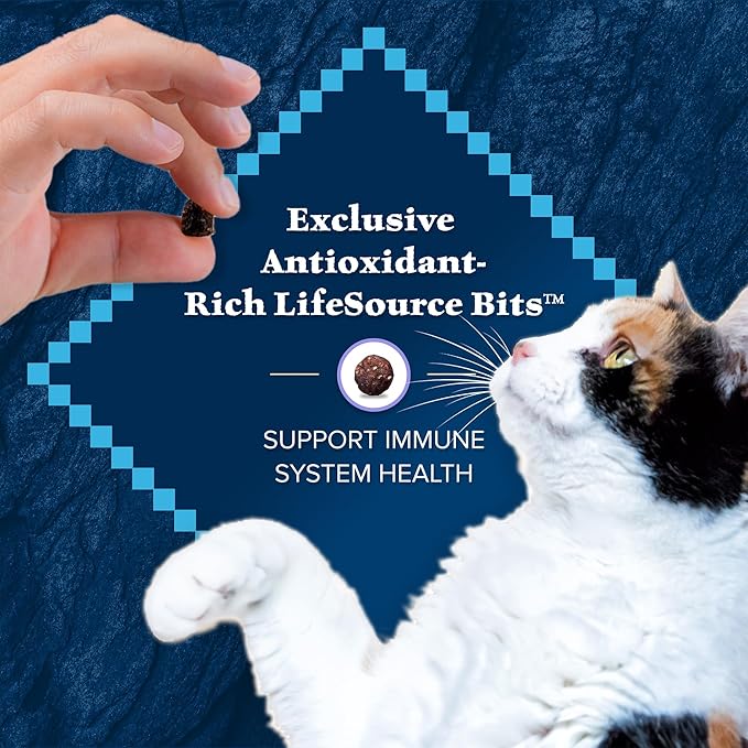 Blue Buffalo Wilderness Natural Kitten Dry Cat Food, with DHA and ARA to Support Brain and Eye Development, High-Protein and Grain-Free Diet, Chicken, 2-lb Bag