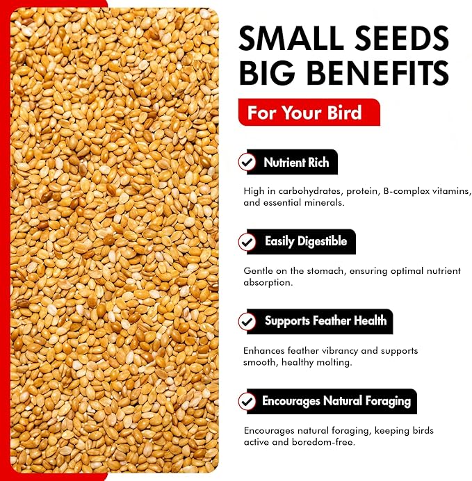 Morning Bird Golden German Millet 9 lbs – Natural Millet Seed for Birds – Natural Protein & Fiber Source – Easy-to-Digest Daily Nutrition for All Bird Types