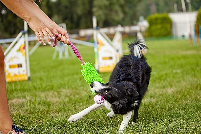 Dingo tug Toy for Dog, for Outdoor Indoor Play and tug of war, Bungee Handle, Soft Shaggy Nubby Like Plush Noodle and TPR Rubber Ball, Green 15589