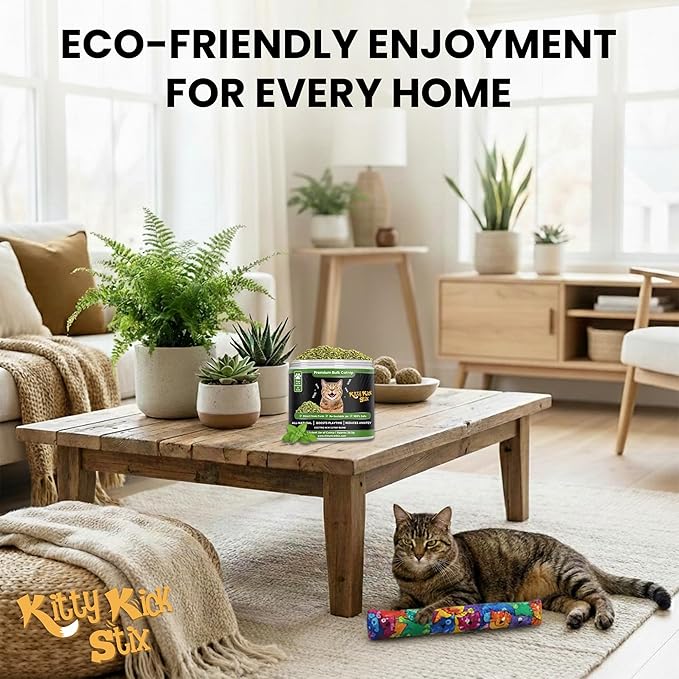 Kitty Kick Stix Premium Bulk Catnip - Made in USA 100% Natural, Enticing Catnip Treats for Catnip Toys, Catnip Spray, & Cat Accessories. Safe & Non-Addicitve Catnip for Kittens (Single Jar)