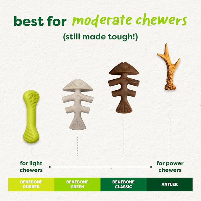 Benebone Green: Plant-Based Real Salmon Fishbone Dog Chew Toy for Medium Dogs, Dog Bones for Moderate Chewers, Made in USA