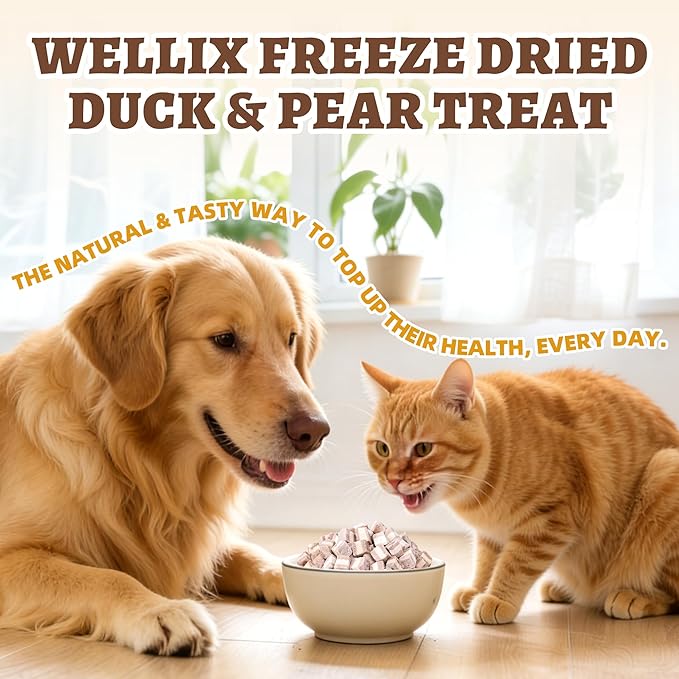 Wellix Freeze-Dried Treats for Dogs and Cats - Duck&Pear Natural Freeze Dried Cat Treats for Gut,Digestion Healthy - High-Protein Food Topper for Kittens Training Snacks 4.93oz