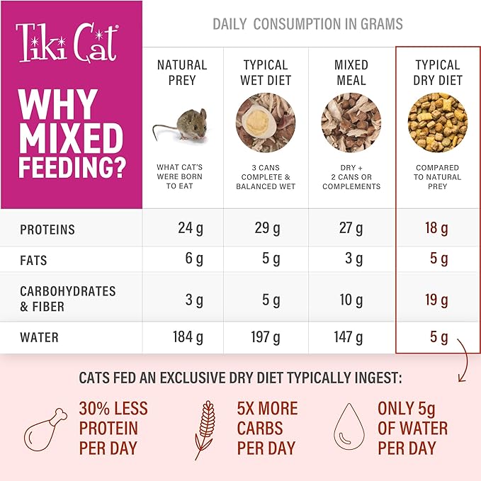 Tiki Cat Born Carnivore Broths Wet Cat Food Topper, Chicken, 1.3 oz. Pouch (12 Count)