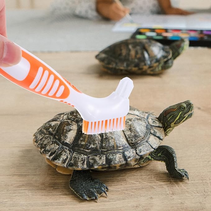 POPETPOP Turtle Shell Cleaning Brush Double-Sided Design with Flexible Bristles for Effective Mud and Dirt Removal on Aquatic Tortoise Shells and Aquarium Pets 6.29X1.96X0.59In