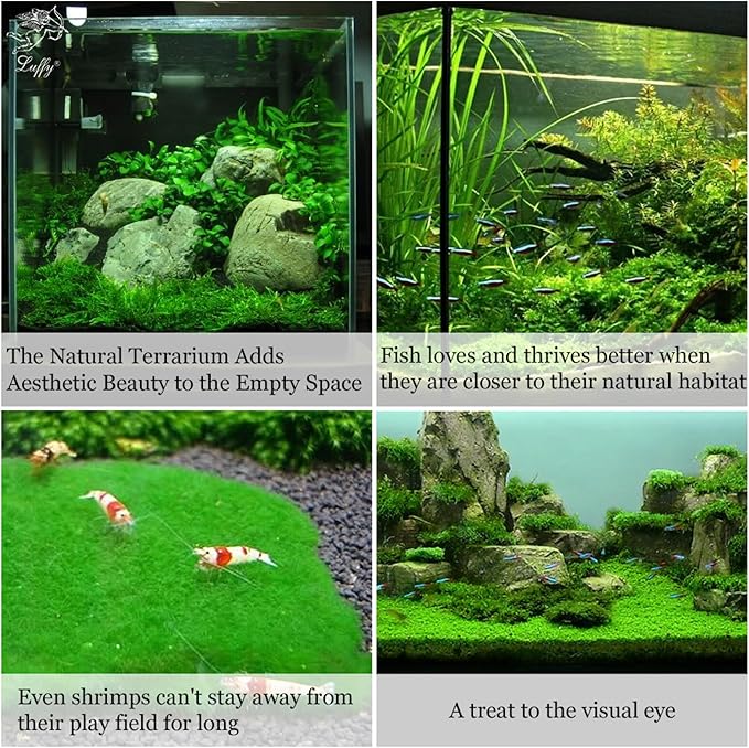 Luffy Decorative Aquatic Moss Wall, 2 Plastic Floor Wire Mesh Sheets, Air Vent Screens, Aquarium Plant Accessory for Seaweed, Net Pad for DIY Projects, Carpet for Fish Tank, 12 x 8 Inches
