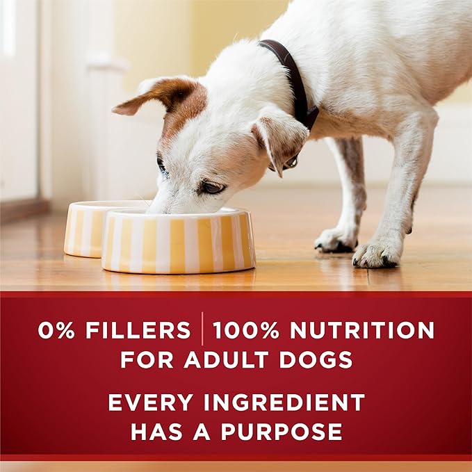 Purina ONE True Instinct Tender Cuts in Gravy with Real Chicken and Duck, with Real Beef and Salmon High Protein Wet Dog Food Variety Pack - (Pack of 1) 13 oz. Cans