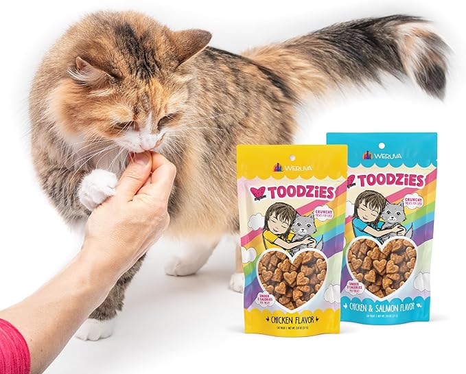 Weruva BFF Toodzies, Chicken and Salmon Crunchy Cat Treats, 2oz Bag
