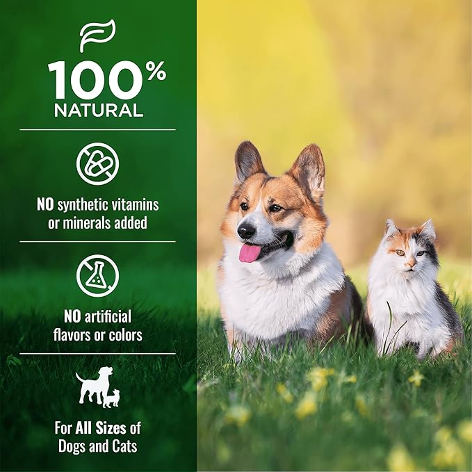 NATURE'S LOGIC Beef Lung Dog & Cat Treats - 100% Natural Midwest USDA Beef Source - Roasted Treats for Dogs and Cats - No Synthetics - 78% Protein - Beef Lung Treat, 1lb