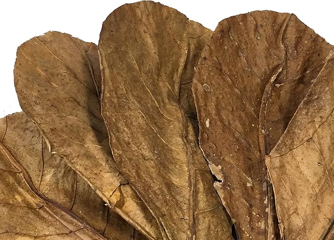 Awesome Aquatic Betta & Shrimp Leaves 30 4"-6" Premium Catappa Indian Almond Leaves Natural Habitat Tannin Producing Improves Immunity, Easy to USE