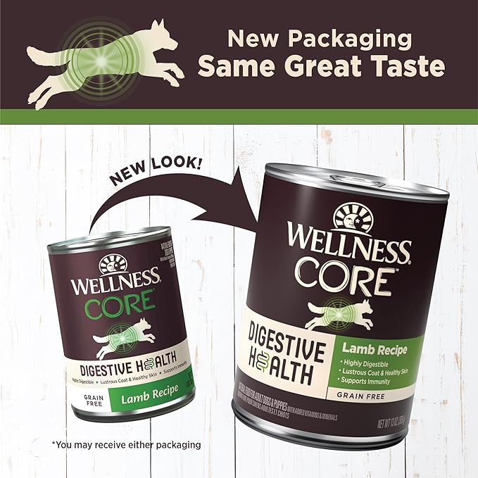 Wellness CORE Digestive Health Pate Adult Canned Wet Dog Food, Grain Free, Sensitive Stomach, Natural, Lamb Recipe, 13 oz, Pack of 12 Cans