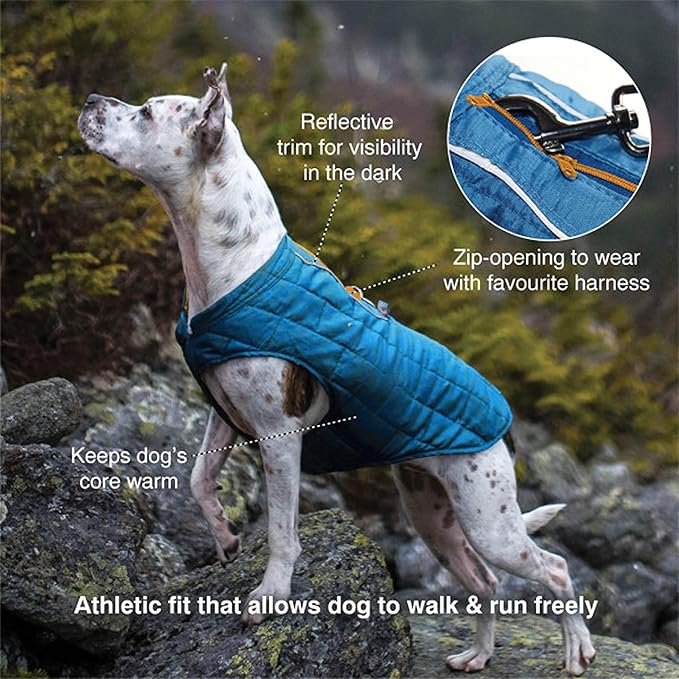 Kurgo Loft Dog Jacket - Reversible Cozy Coat for Outdoor Adventures - Water Resistant - Athletic Fit - Machine Washable Fabric - Reflective Dog Gear - X-Small - Ink Blue