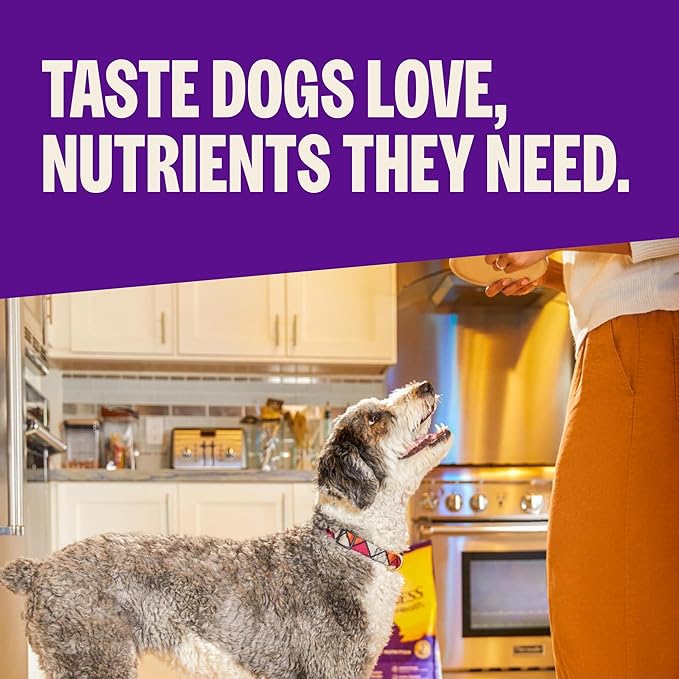 Wellness Complete Health Healthy Weight Small Breed Adult Dry Dog Food, Wholesome Grain Kibble, Natural, Turkey and Brown Rice Recipe, 4 lb Bag