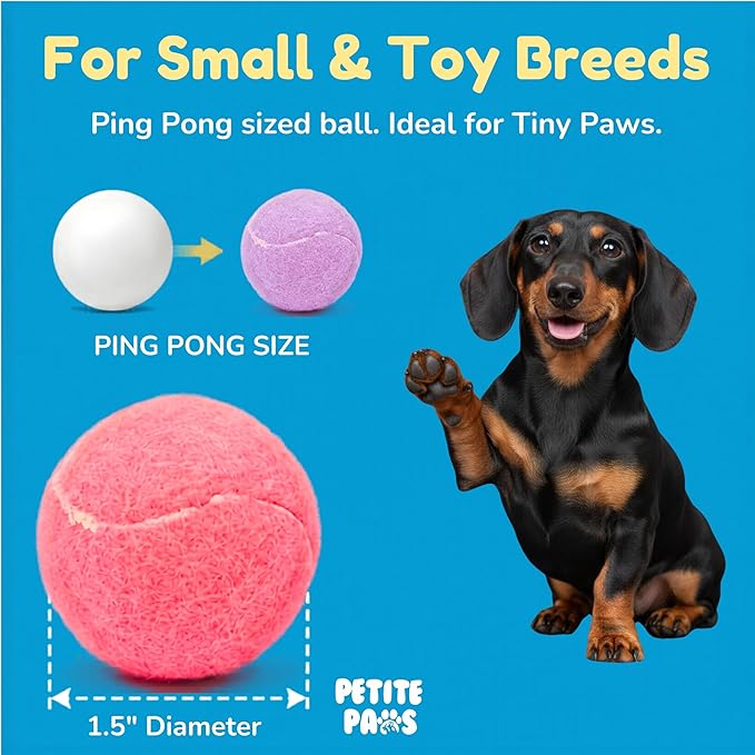 Colorful Squeaky Tennis Balls for Small Dogs and Puppies - 1.5 Inch - 12 Pack - Dog Training Toys for Positive Reinforcement, Interactive Squeaker Ball To Engage Attention Outside, Ball Launcher Fetch