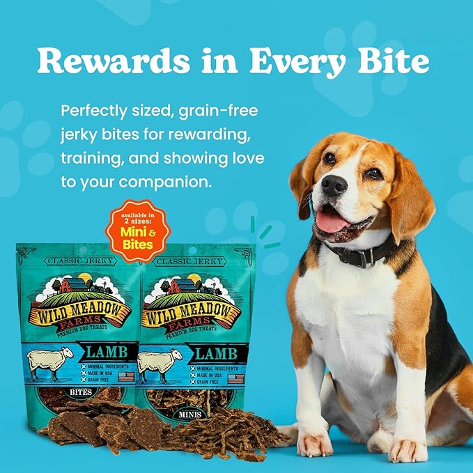 Classic Lamb Bites, Soft Jerky Treats for Dogs, Grain-Free & All-Natural, Ideal for Training, Portioning, and High-Value Rewards for All Breeds & Ages - 3.5 Ounce Pouch
