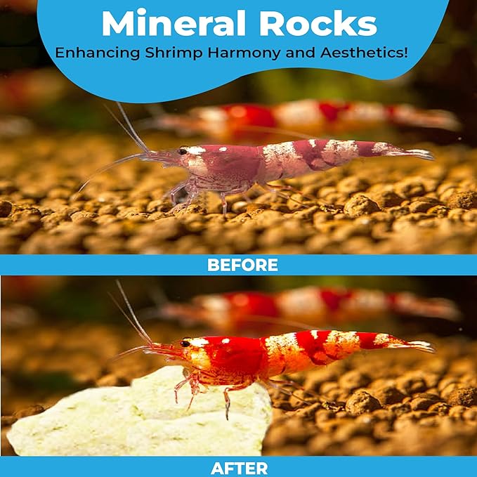 JOR Calcium Rocks for Shrimps, Enhances Pet Color, Provides Hideout, Beneficial for Shedding, and Breeding Spot, 1.7 oz. (50g)