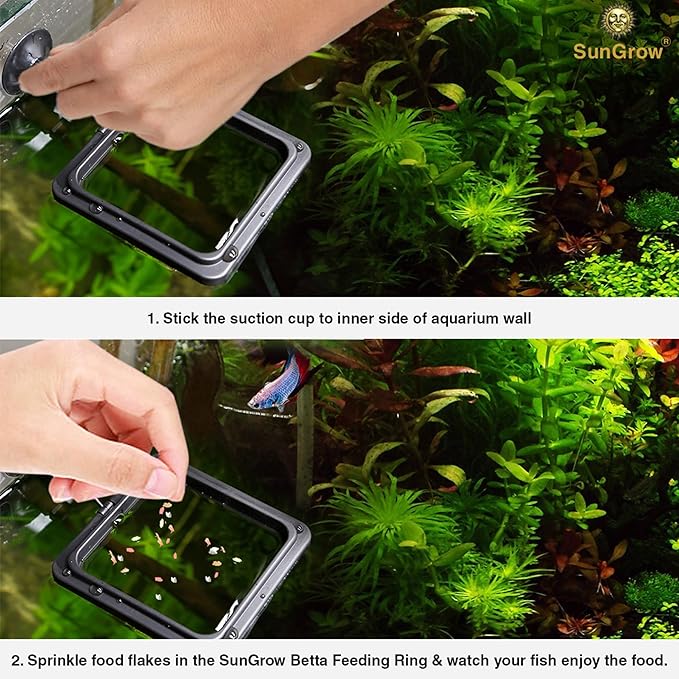 SunGrow Fish Food Feeding Ring, Stop Water Turbulence from Washing Food & Floating Plants into Filtration System, Suitable for Flakes & Floating Fish Pellets (3 Pieces)