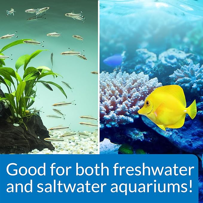 API STRESS ZYME Freshwater and Saltwater Aquarium Cleaning Solution 16-Ounce Bottle